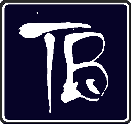 logo TransBromo.com